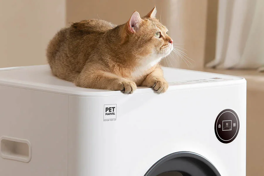 best litter box for kittens